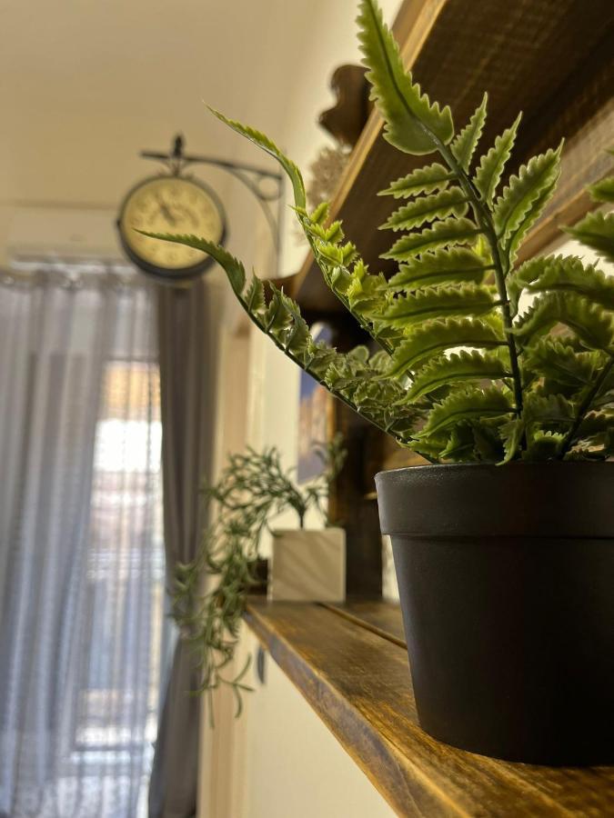Nicanto'S Home Bari Dış mekan fotoğraf